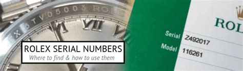 rolex serial checker|Rolex serial number lookup.